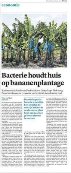 bacterie