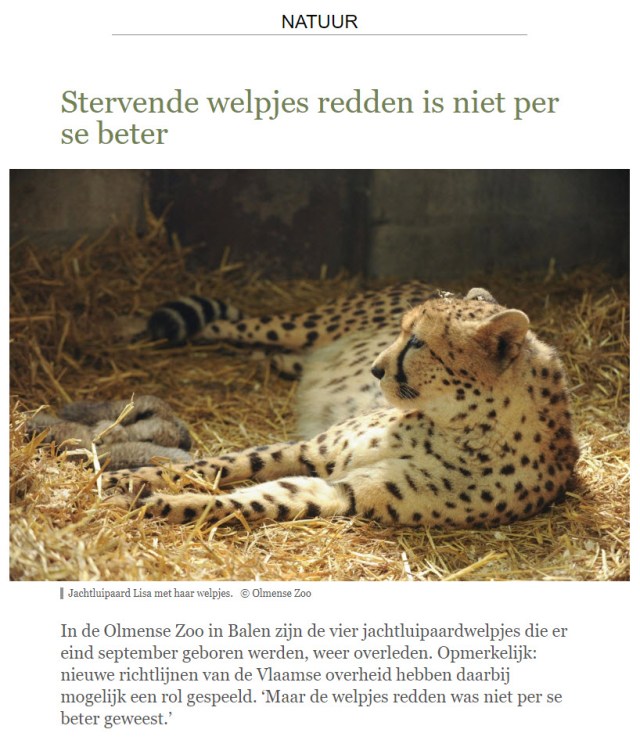stervendewelpjes